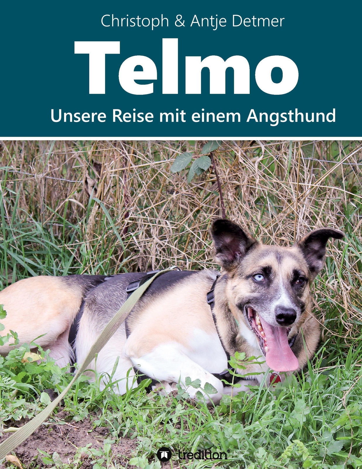 Telmo | Unsere Reise Mit Einem Angsthund | Christoph & Antje Detmer |