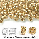 Bild 39 von 44