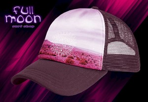 the north face photobomb hat