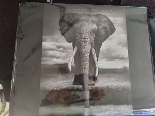 On This Earth, A Shadow Falls Hardcover Nick Brandt Oversize Hardcover 2009
