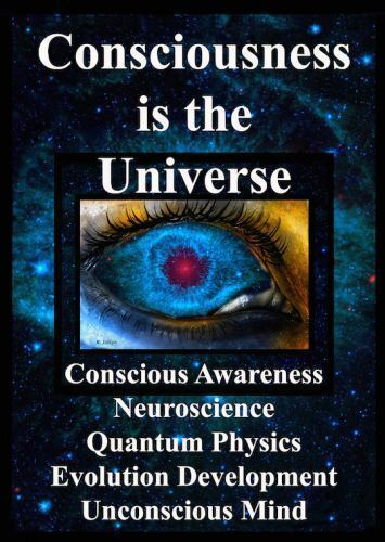 Consciousness Is the Universe : Conscious Awareness, Neuroscience, Quantum,...