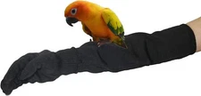 Bird Training Anti Bite Gloves Arm Sleeves Level 5 Protection For Pets