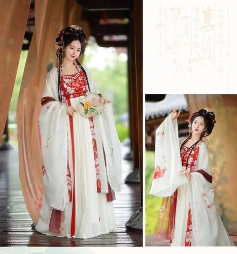 Chinese Hanfu Dress Women Traditional Hanfu Cosplay Costume Summer Dance Dress - Picture 18 of 21