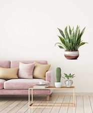 Dracaena Trifasciata Wall vinyl sticker decal sa545