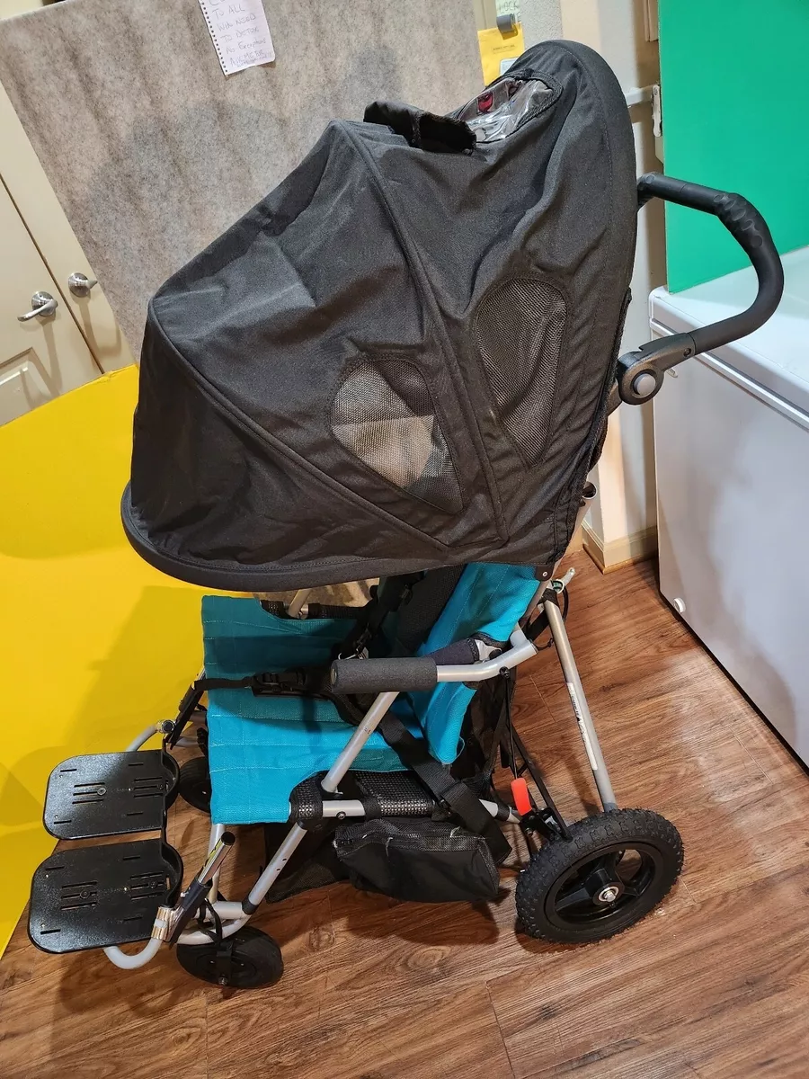 Fendi Aluminum Classic Logo Stroller