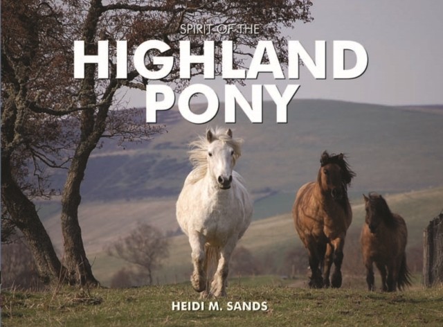 Spirit of the Highland Pony by Heidi M. Sands (Hardback Book)