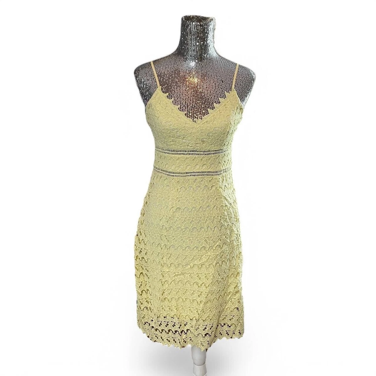 Robe Dentelle Sans Manches Charlotte Russe Taille 1X - Style Fluide, Motif Floral, Couleur Beige, Neuve Avec étiquettes