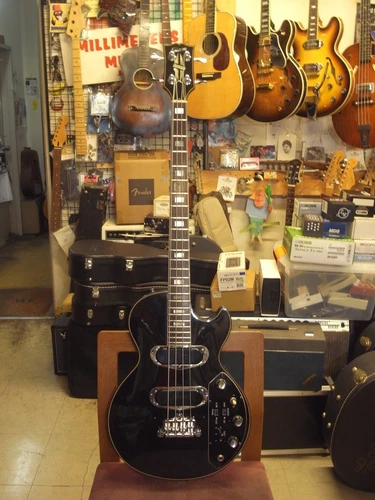 Gibson Les Paul Triumph Bass (1976) (no250603)