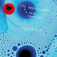 Geir Sundstol Joe - Langeleik - Vinyl Record Vl - G3Z