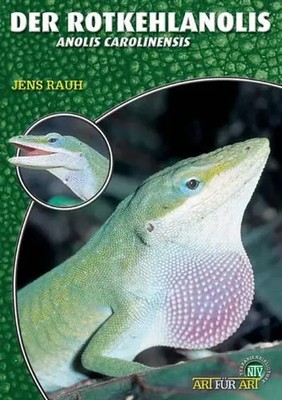 Der Rotkehlanolis Anolis carolinensis Jens Rauh Taschenbuch Art für Art Deutsch