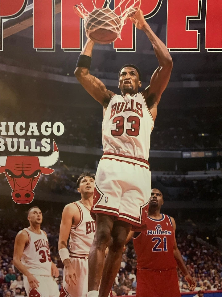 "Póster vintage de los Chicago Bulls Scotty Pippen 1995 22"" x 34,5""" Foto 3 de 4