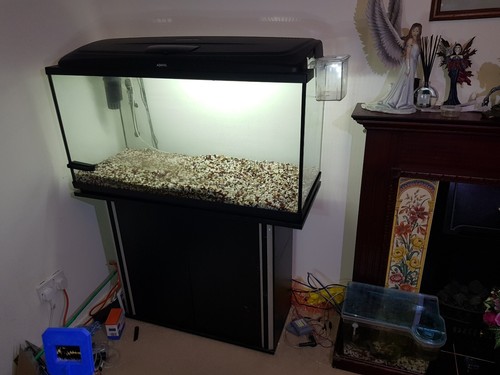 ebay 40 gallon tank