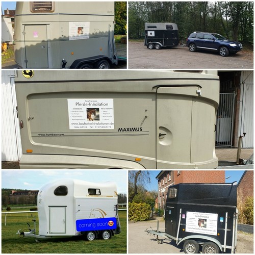 Solevernebler für Ihr Solemobil Soletherapie Salzkammer Pferde Inhalation Sole - Bild 11 von 13