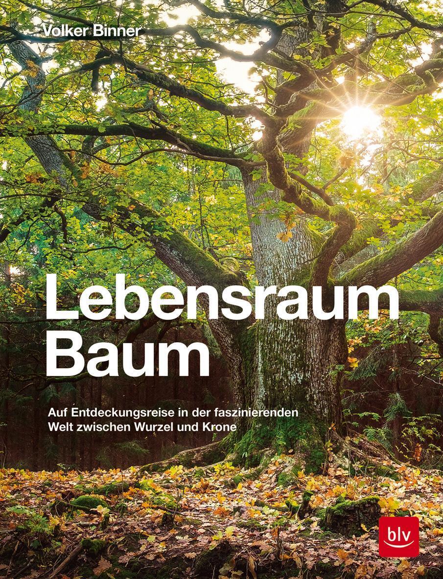Lebensraum Baum Volker Binner
