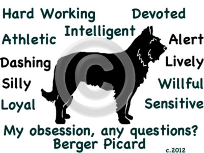 Berger Picard Dog My Obsession, Any Questions? T-shirt Choices