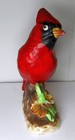 Bild 8 von 11