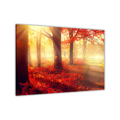 Sonnenschein Herbst Wald Leinwand Wandbild Bild Druck