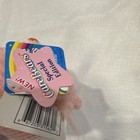 Care Bears Cheer Bear Soft Lil' Bears Series 4 Pink Plush Rainbow Belly Tags — photo 3