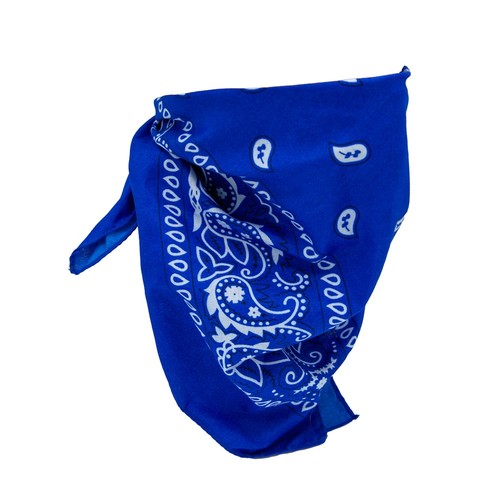 Blue Paisley BANDANA Neckerchief Wild West Rodeo Western Printed Scarf Cowboy - Picture 2 of 4