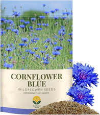 Bachelor Button Seeds – Blue Cornflower – 5,500+ Seeds – 1 Oz Bulk Extra Large R 393.60 per gallon
