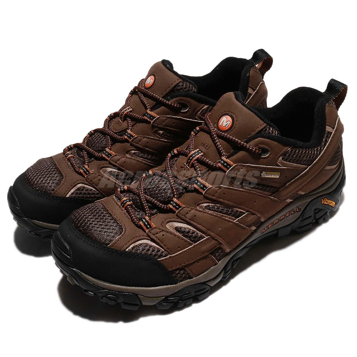 moab 2 leather gtx