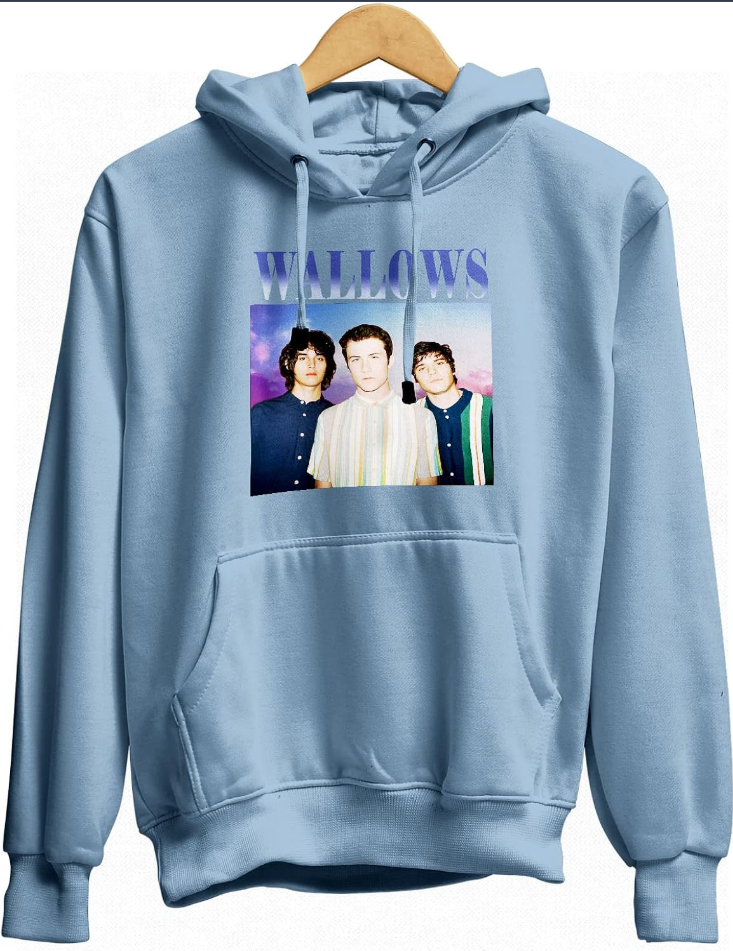 Wallows Band Photo Hoodie, gift for fans