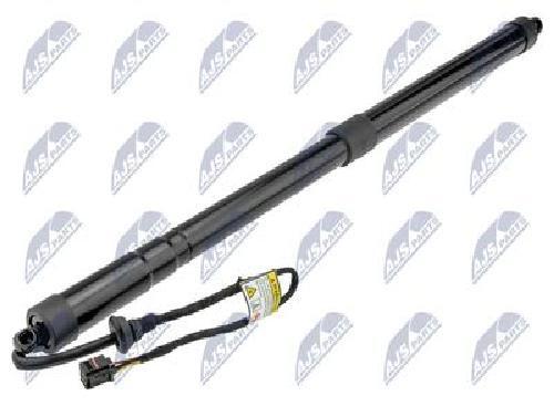 Original NTY Electric Motor Tailgate AE-FR-063 For Ford