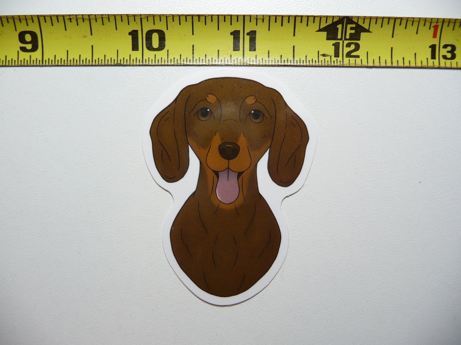 Dachshund AHHH Exam Sticker Decal Cute Pet Pride Vet Dog Lover