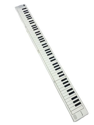 TAHORNG Electronic Piano ORIPIA88 Used