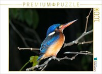 Calvendo Puzzle Kingfisher 1000 Teile Puzzle Quer | 1000 Teile Lege-GrößE 64X48C