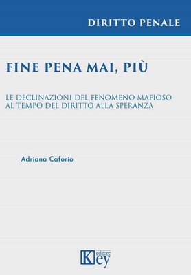 Adriana Caforio Fine pena mai, più. Le declinazioni del fenomeno m (Taschenbuch)