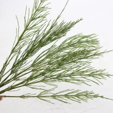 12PCS Real Pressed Dry grass with stem, floral supply leaves for art craft FSS66