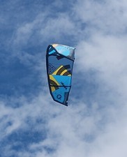 Blade Trigger 9m 2017 kitesurfing kite