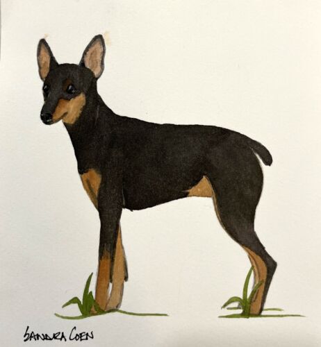 Toy Manchester Terrier Original Watercolor Painting Standing By Sandra Coen - Picture 1 of 1