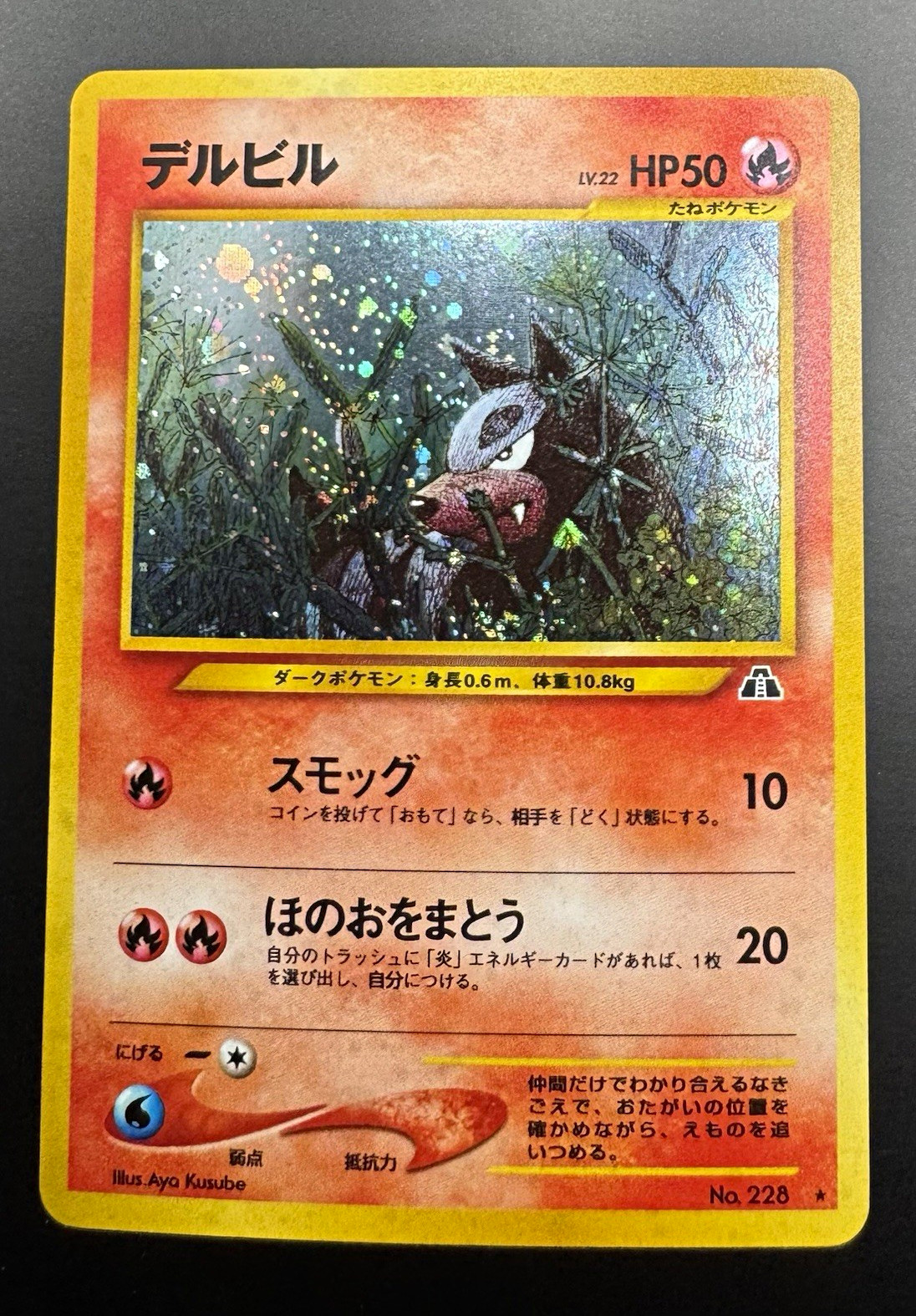 Houndour 228 Crossing the Ruins Holo Rare JP (LP)