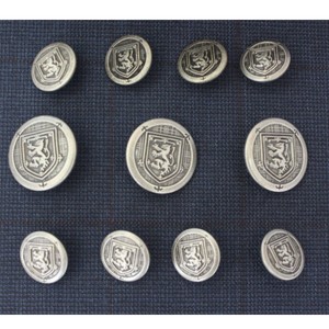 blazer with silver buttons