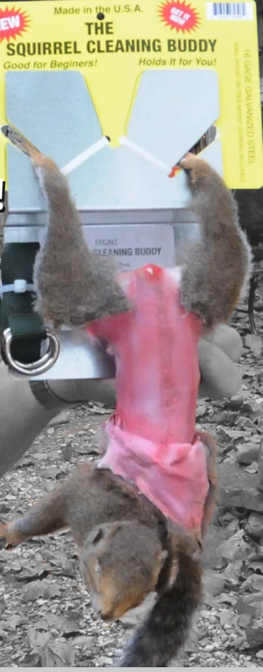 Squirrel Cleaning Buddy - Image 4 of 4
