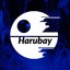 harubay61