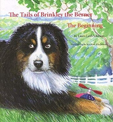 The Tails of Brinkley the Berner : The Beginning Hardcover
