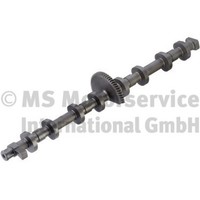 Kolbenschmidt Nockenwelle 50056202 FüR BMW 3Er Touring F31 Turismo F34 4Er F32