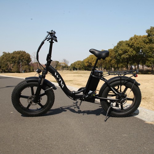 Buy Electric Bike 20 Inch 48V 13AH 750W Snow Beach Fat Tire Ebike Step Thru Folding Online at 