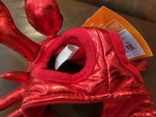 Katze Hut Krabbe Kopfschmuck Kostüm Halloween verstellbar Hund Parade Verkleiden Cosplay - Bild 5 von 5