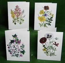 MisterBcards 12 Antique Wild Flower Notelets (75x98mm) with White Envelopes