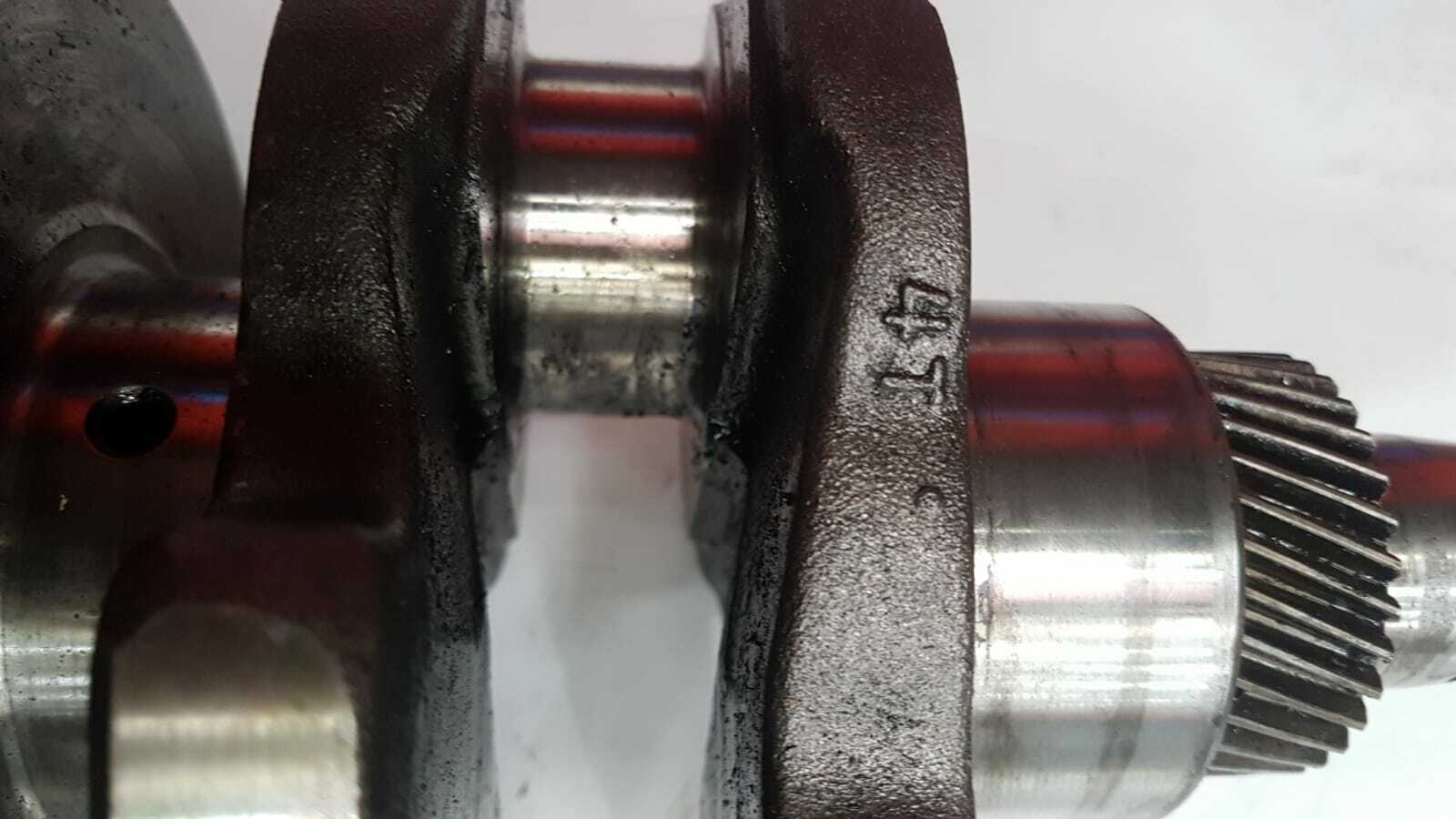 Picture 5 of 6