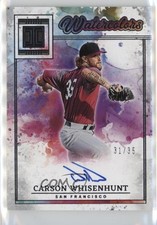 2025 Panini Impeccable Watercolor Signatures /35 Carson Whisenhunt Auto 4g8