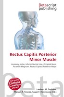 Lambert M. Surhone (U. A.) | Rectus Capitis Posterior Minor Muscle | Taschenbuch