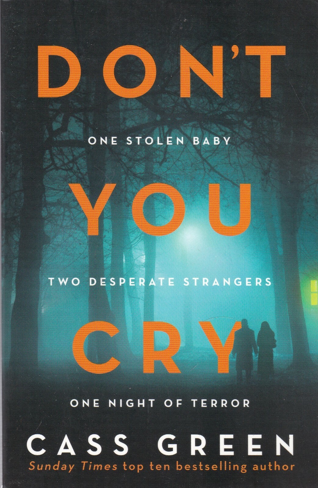 Don't You Cry, Cass Green Paperback Book BRAND NEW Psychological Thriller