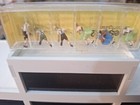 Bild 6 von 13