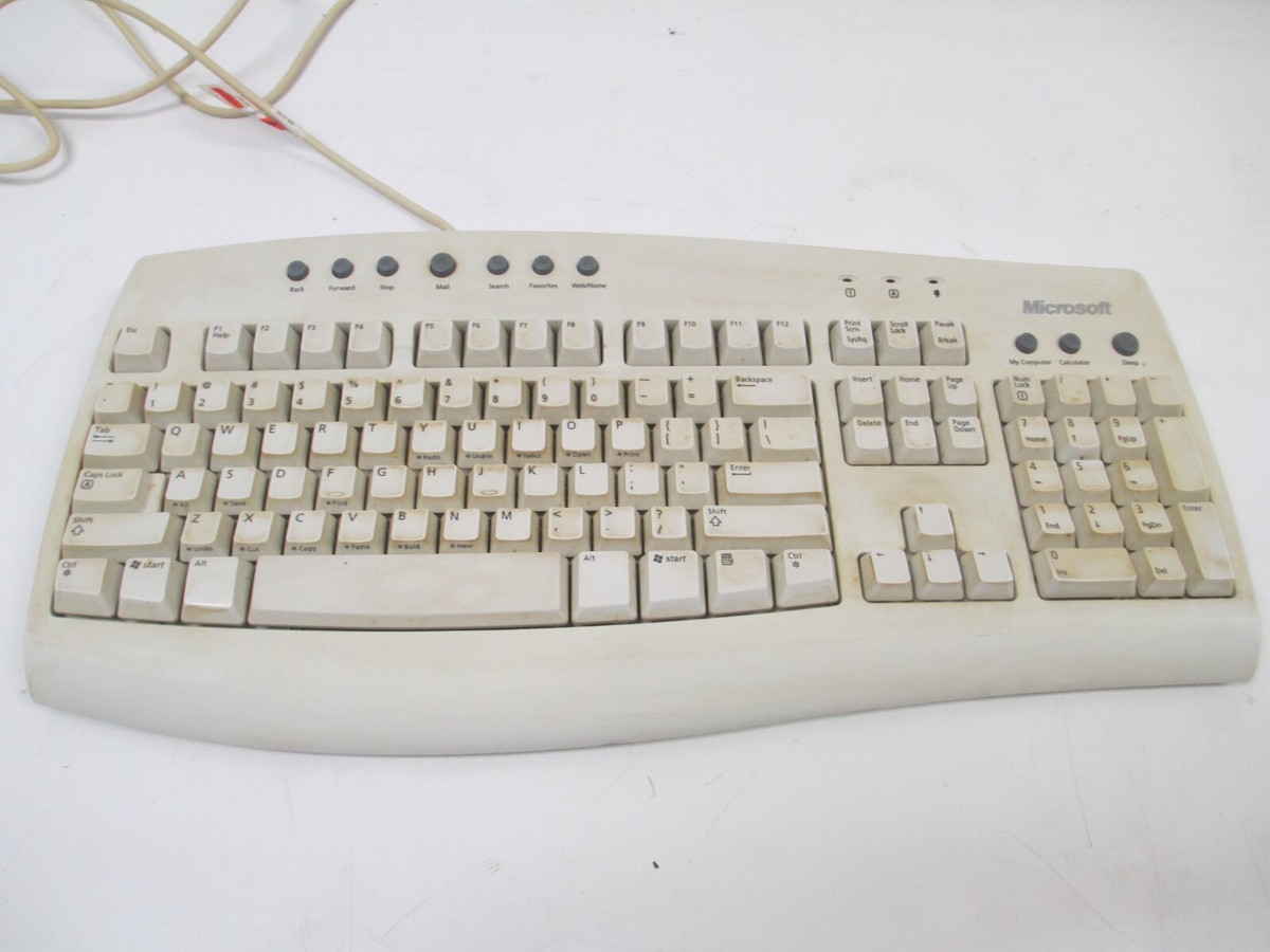 【即完売】classic of windows ビーニー 即完売】classic of windows ビーニー classic of windows