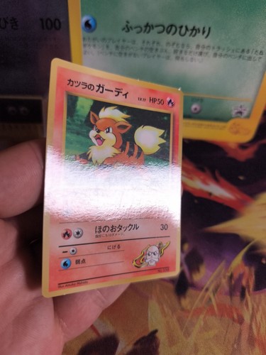 Pokemon Karte Card Blaine's Growlithe Corocoro Promo Gym Glossy Wotc japanese NM - Picture 7 of 21